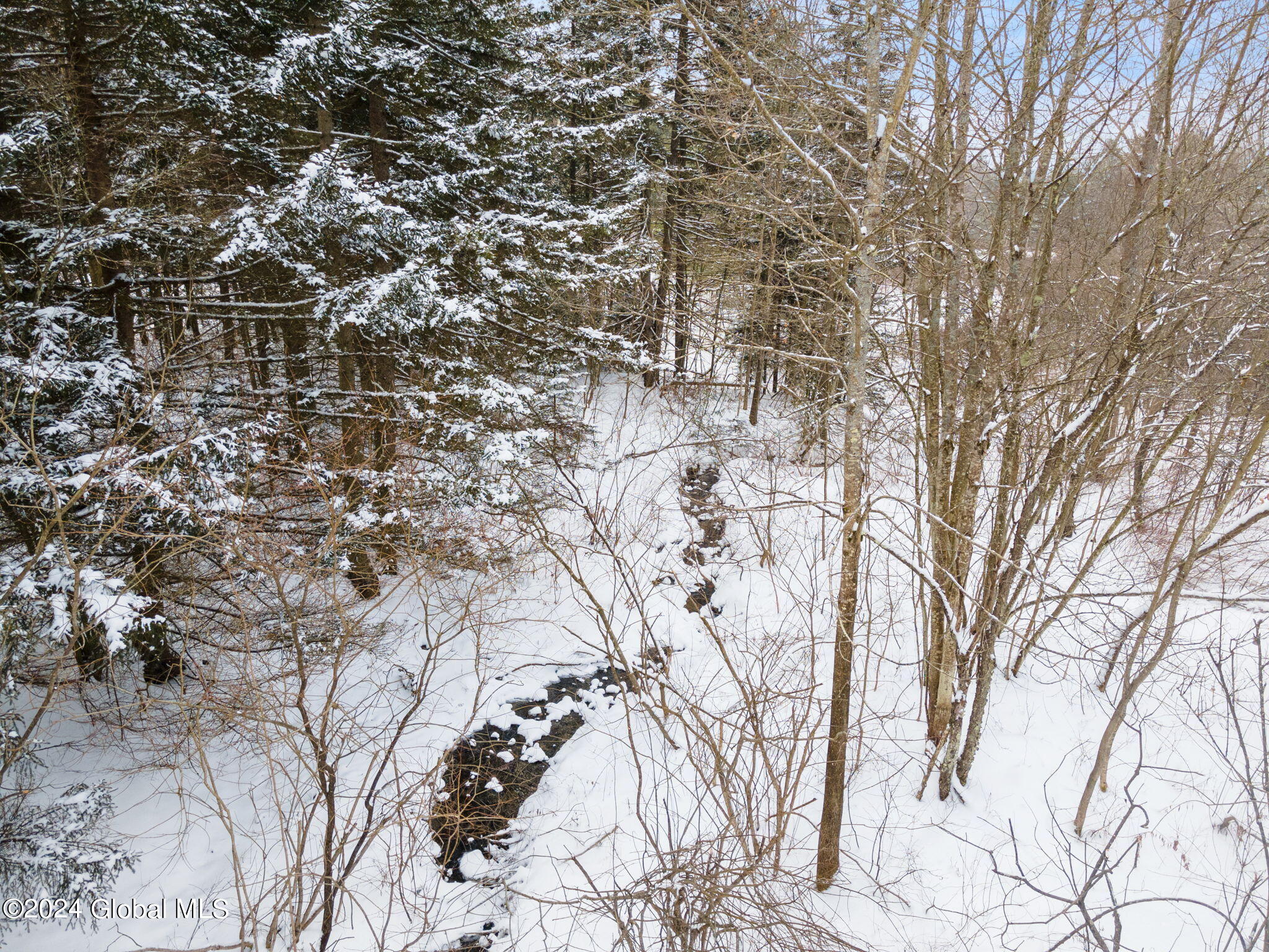 L30 Mud Lake Road Summit, NY 12175 - Photo 2 of 17 4-web-or-mls-MudLakeRd_04