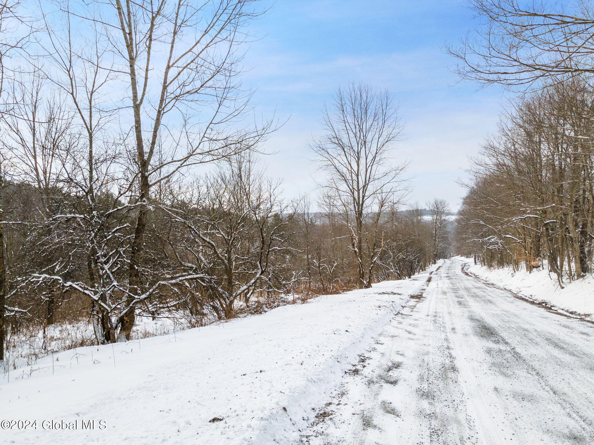 L30 Mud Lake Road Summit, NY 12175 - Photo 3 of 17 1-web-or-mls-MudLakeRd_01