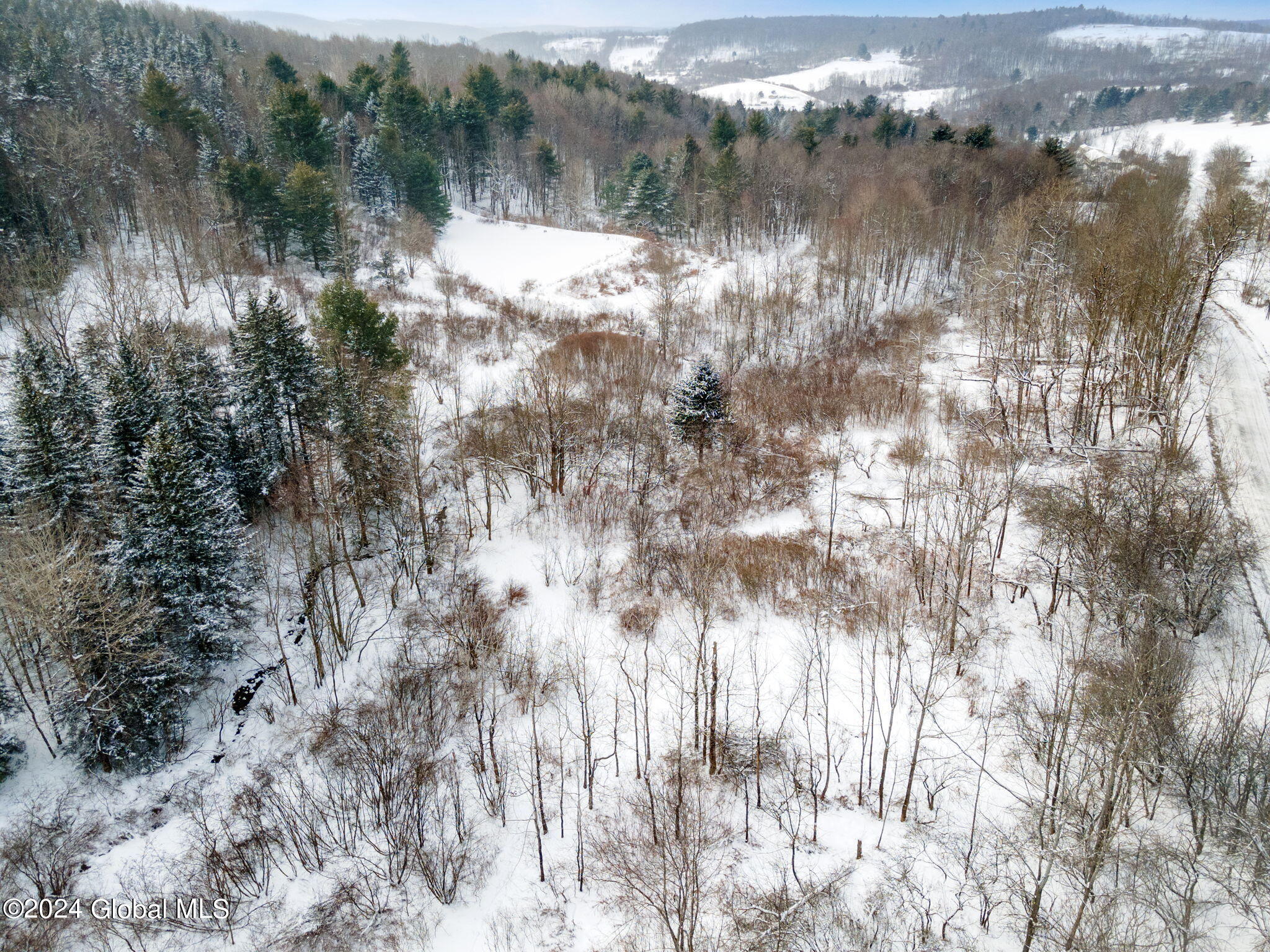 L30 Mud Lake Road Summit, NY 12175 - Photo 4 of 17 3-web-or-mls-MudLakeRd_03