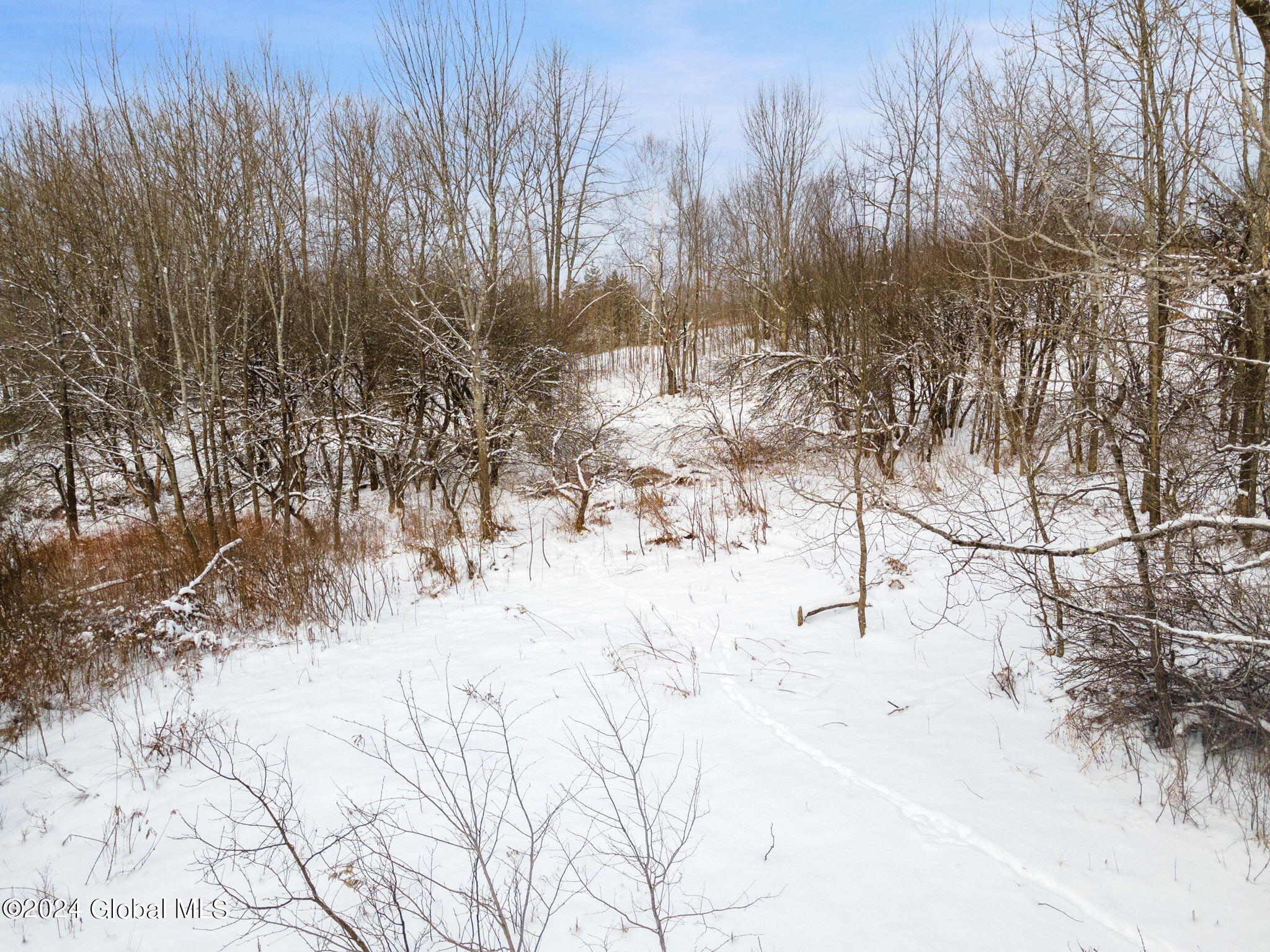 L30 Mud Lake Road Summit, NY 12175 - Photo 6 of 17 5-web-or-mls-MudLakeRd_05