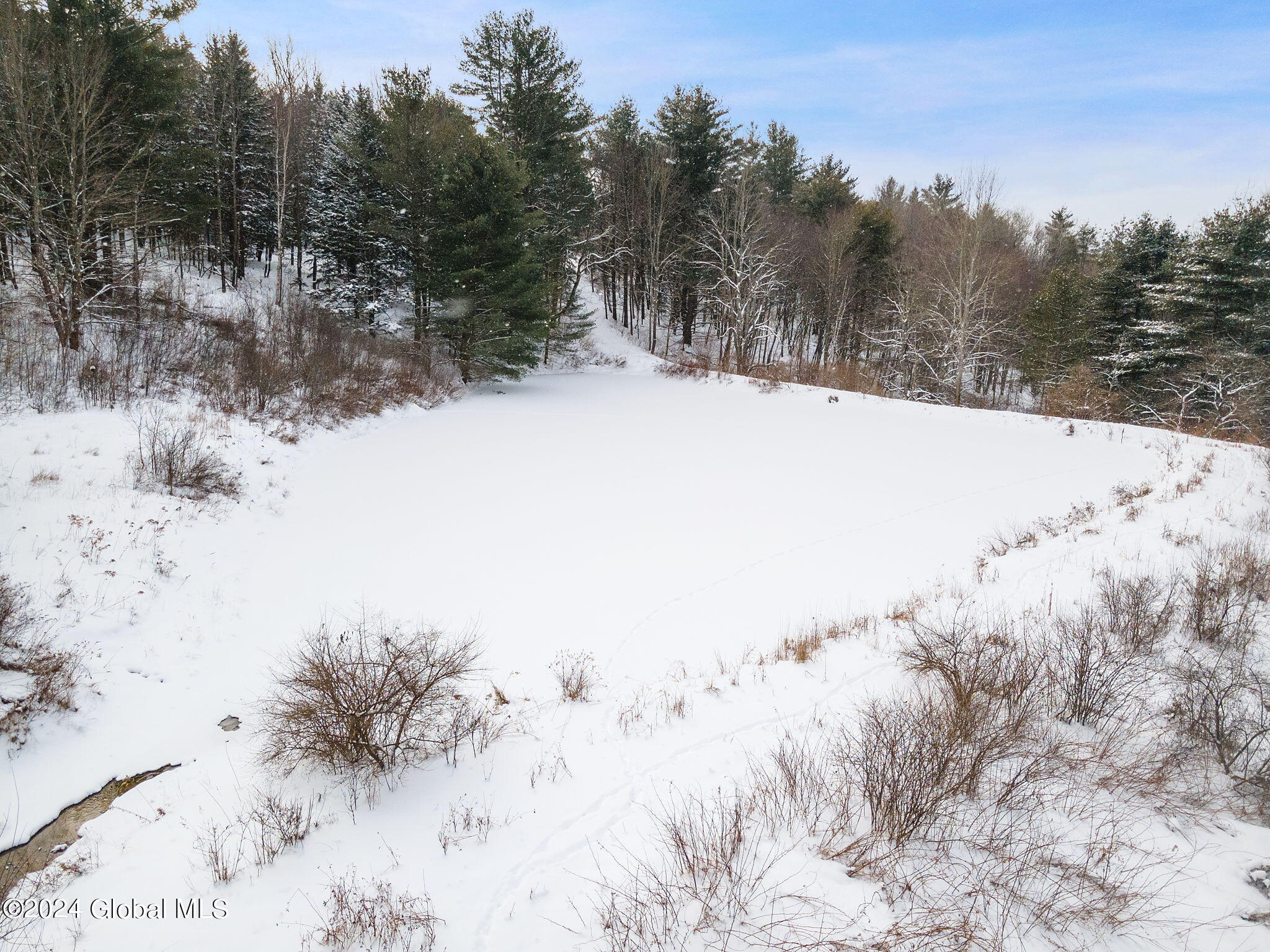 L30 Mud Lake Road Summit, NY 12175 - Photo 7 of 17 7-web-or-mls-MudLakeRd_07