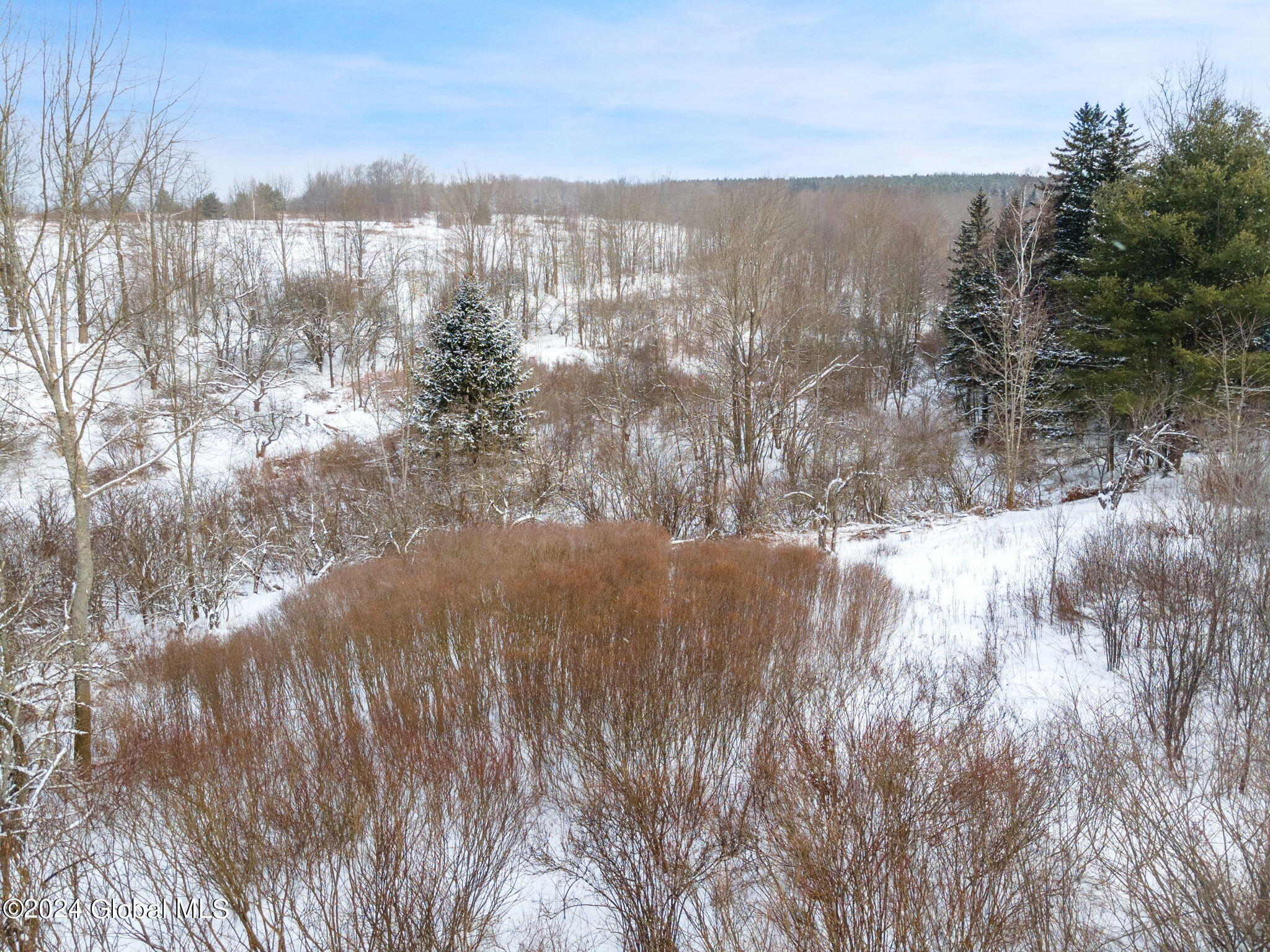 L30 Mud Lake Road Summit, NY 12175 - Photo 8 of 17 8-web-or-mls-MudLakeRd_08