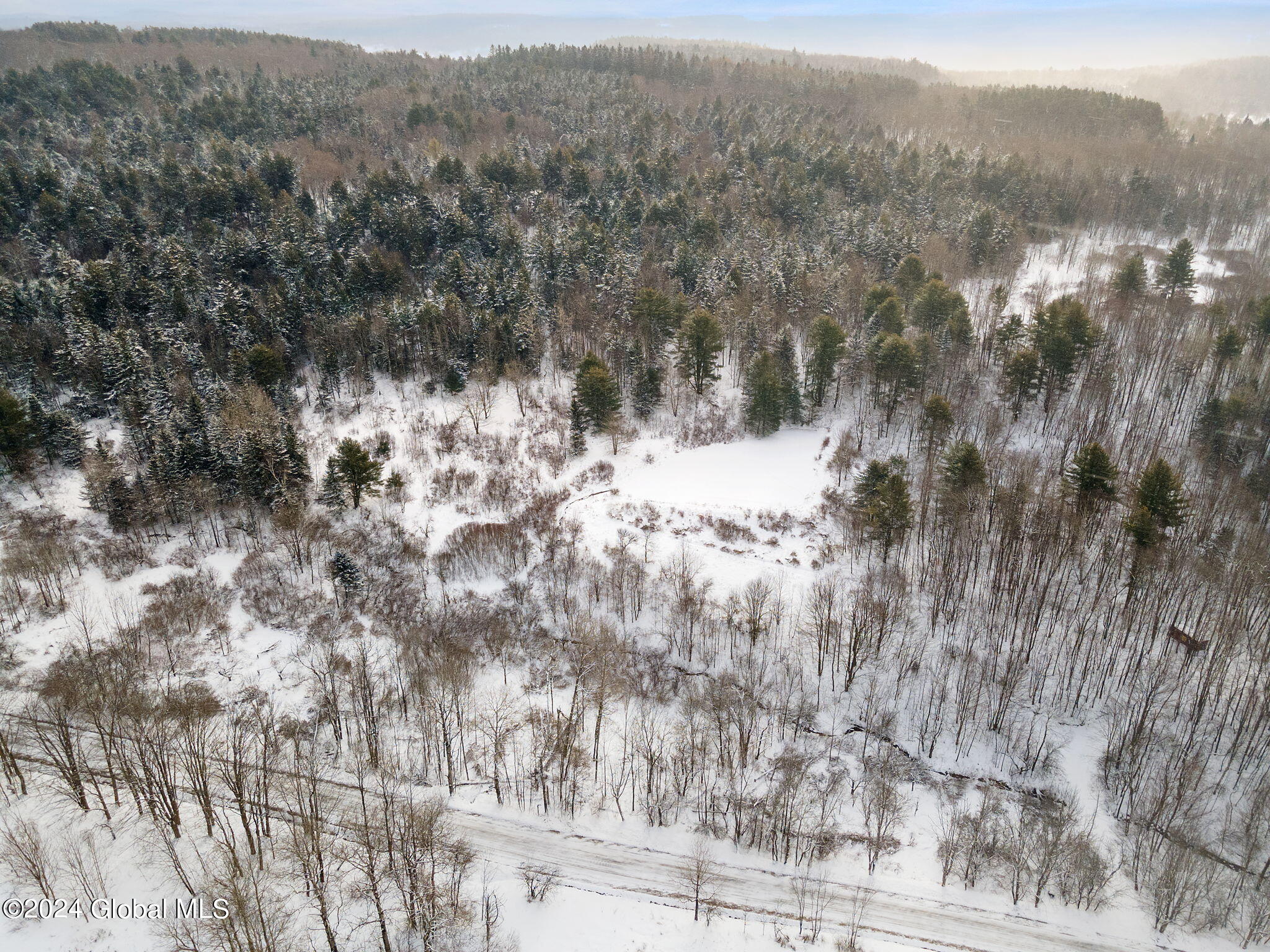L30 Mud Lake Road Summit, NY 12175 - Photo 10 of 17 10-web-or-mls-MudLakeRd_10