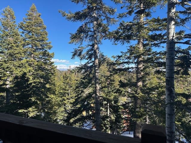 248 Mammoth Slopes, Unit F53 Mammoth Lakes, CA 93546 - Photo 14 of 35 a view of a tree
