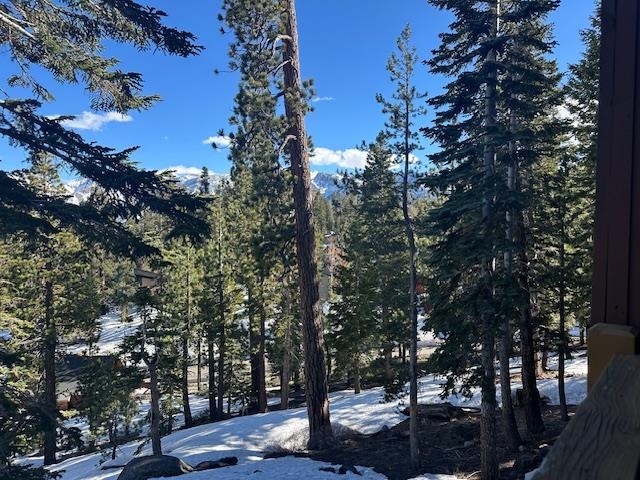 248 Mammoth Slopes, Unit F53 Mammoth Lakes, CA 93546 - Photo 15 of 35 a view of tree