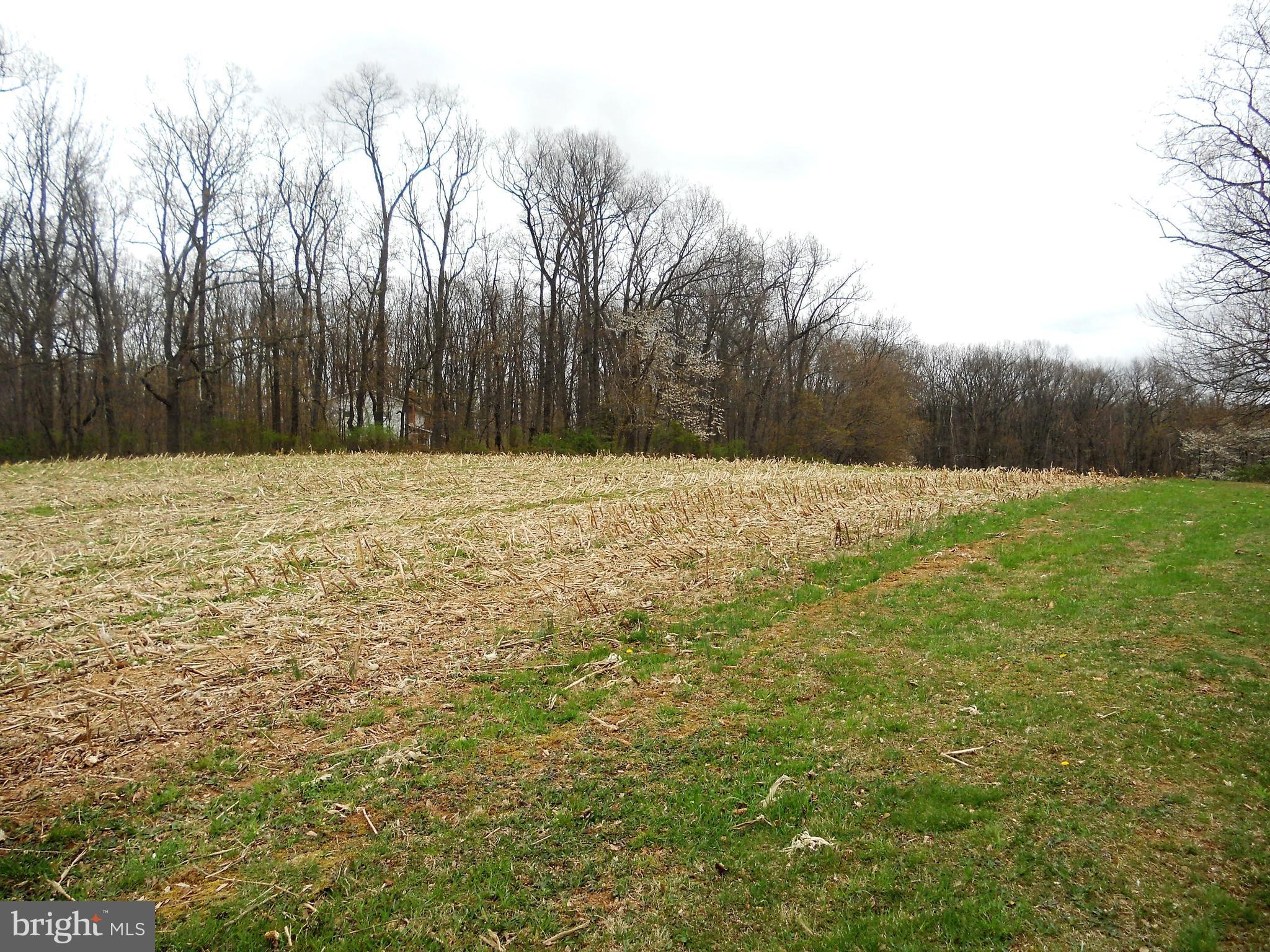 4301 Old Hanover Road Westminster, MD 21158 - Photo 16 of 18 Country view next door