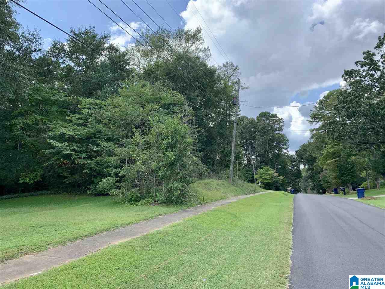 0 Spring Valley Road, Unit 1 PARCEL Anniston, AL 36207 - Photo 1 of 6