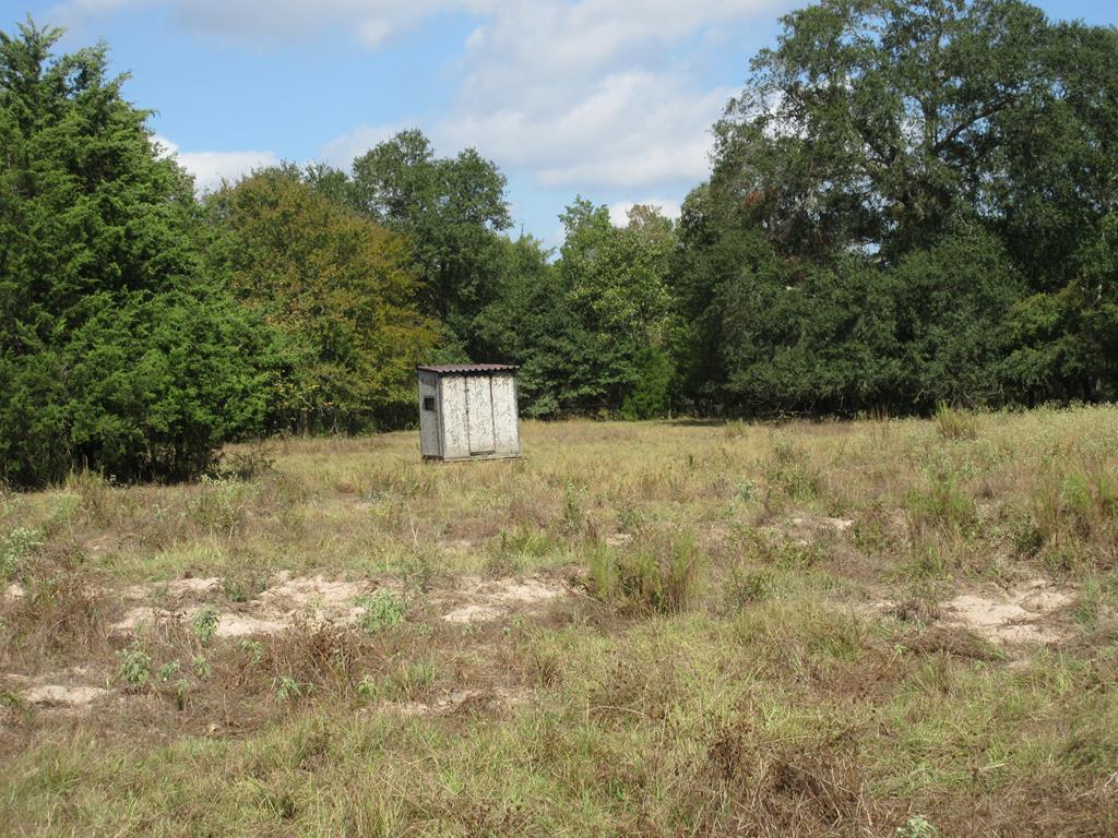 2703 AN County Road Tennessee Colony, TX 75861 - Photo 17 of 30