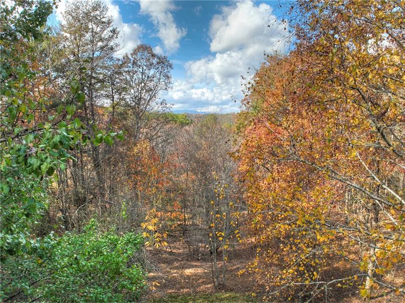 100 Arrow Way Mineral Bluff, GA 30559 - Photo 22 of 53 a view of a yard