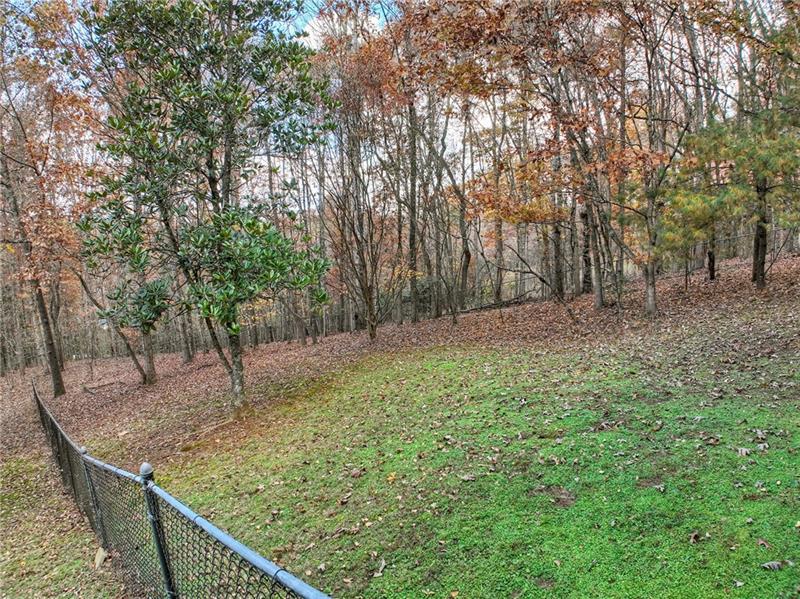 100 Arrow Way Mineral Bluff, GA 30559 - Photo 45 of 53 a view of a backyard with large trees