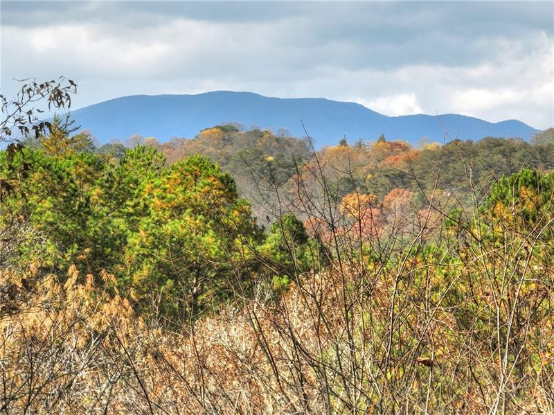 100 Arrow Way Mineral Bluff, GA 30559 - Photo 5 of 53 a view of mountain view with mountains in the background