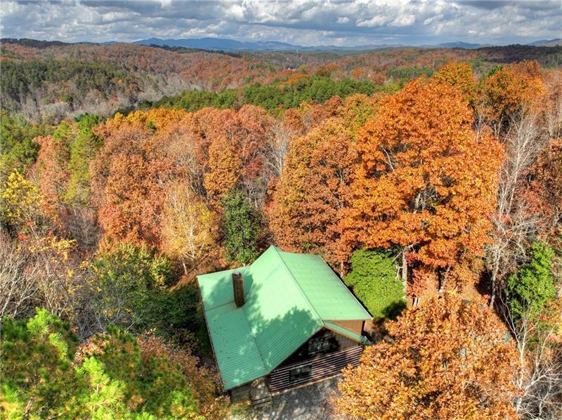 100 Arrow Way Mineral Bluff, GA 30559 - Photo 52 of 53 a view of yard with swimming pool