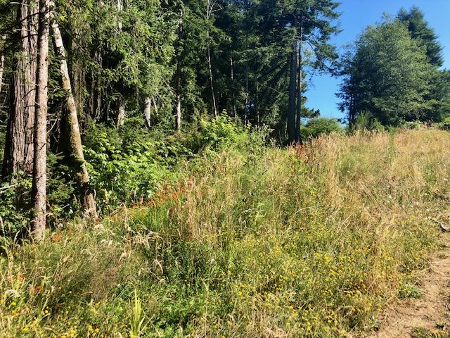 9.25-acre Eggert Road Eureka, CA 95503 - Photo 29 of 29