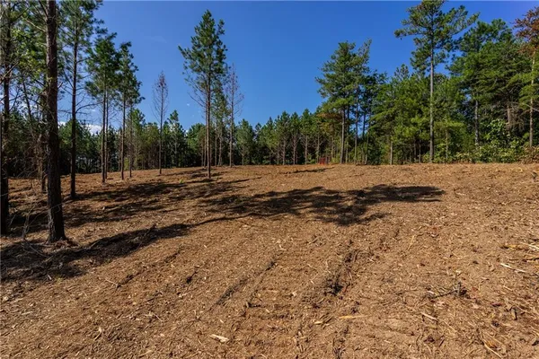 a view of a backyard of a house
