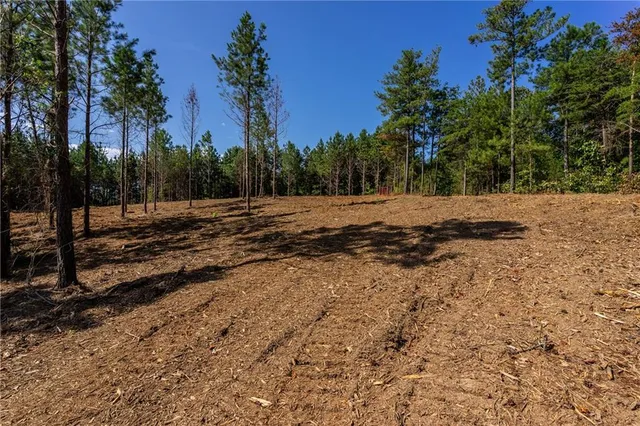 $569,000 | 2 Young Loop, Fairmount, GA 30139