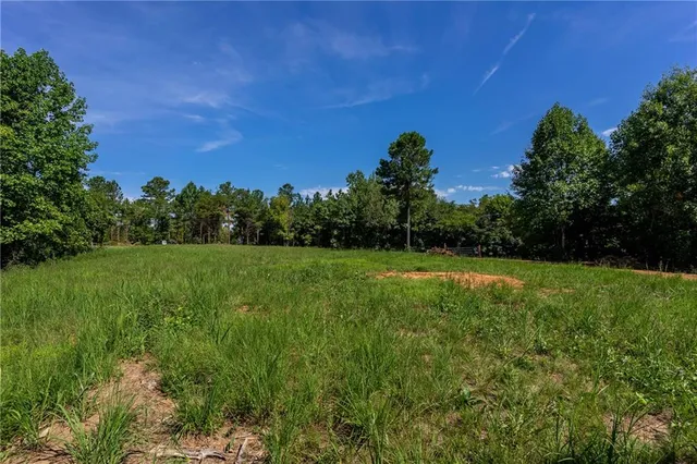 $569,000 | 2 Young Loop, Fairmount, GA 30139