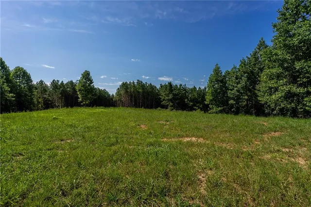 $569,000 | 2 Young Loop, Fairmount, GA 30139