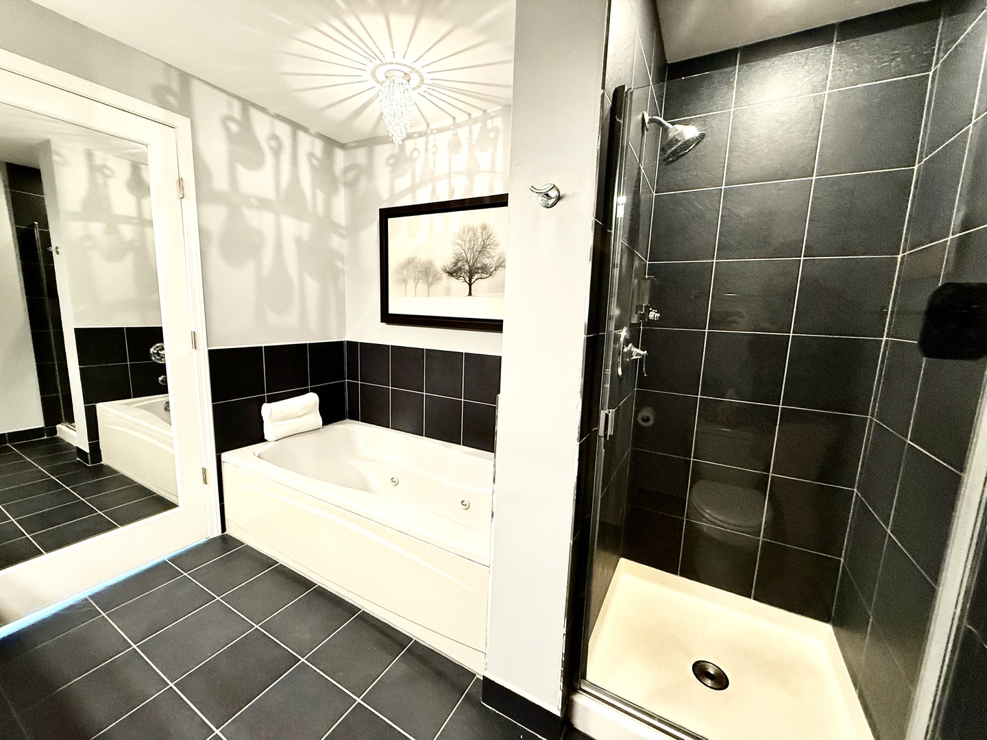 125 East 13th Street, Unit 909 Chicago, IL 60605 - Photo 19 of 28