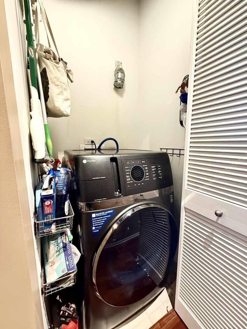 125 East 13th Street, Unit 909 Chicago, IL 60605 - Photo 25 of 28