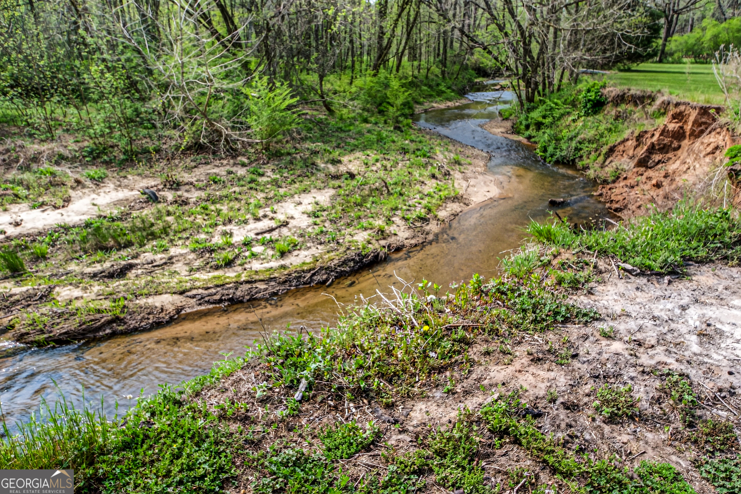 1071 Louden Ridge Road Alto, GA 30510 - Photo 61 of 81 a view of a garden with a yard