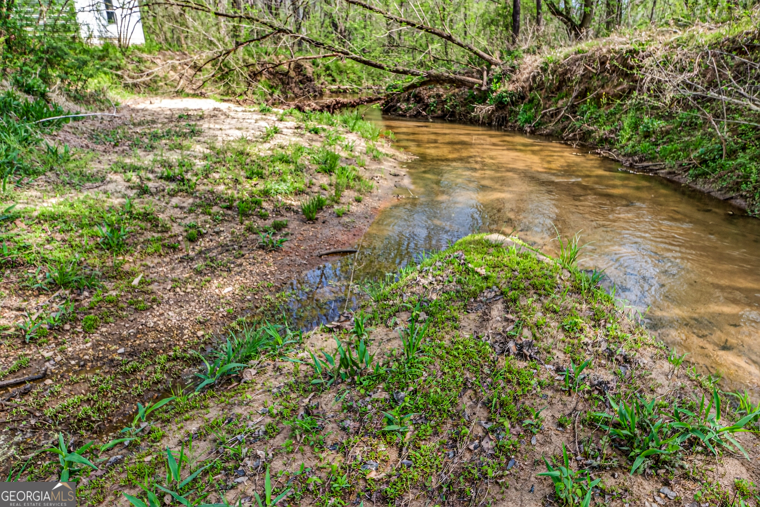1071 Louden Ridge Road Alto, GA 30510 - Photo 62 of 81 a view of a yard with plants and large trees