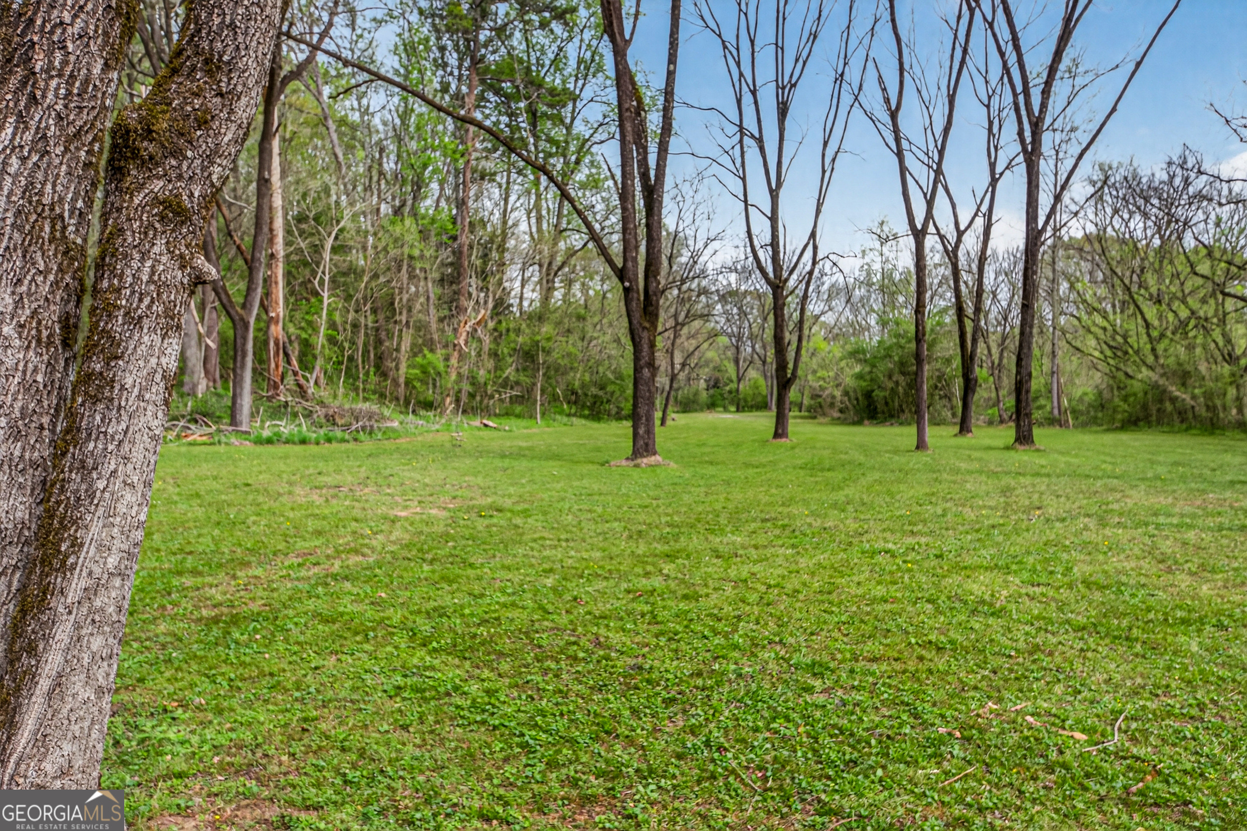 1071 Louden Ridge Road Alto, GA 30510 - Photo 65 of 81 a grassy field with trees in the background