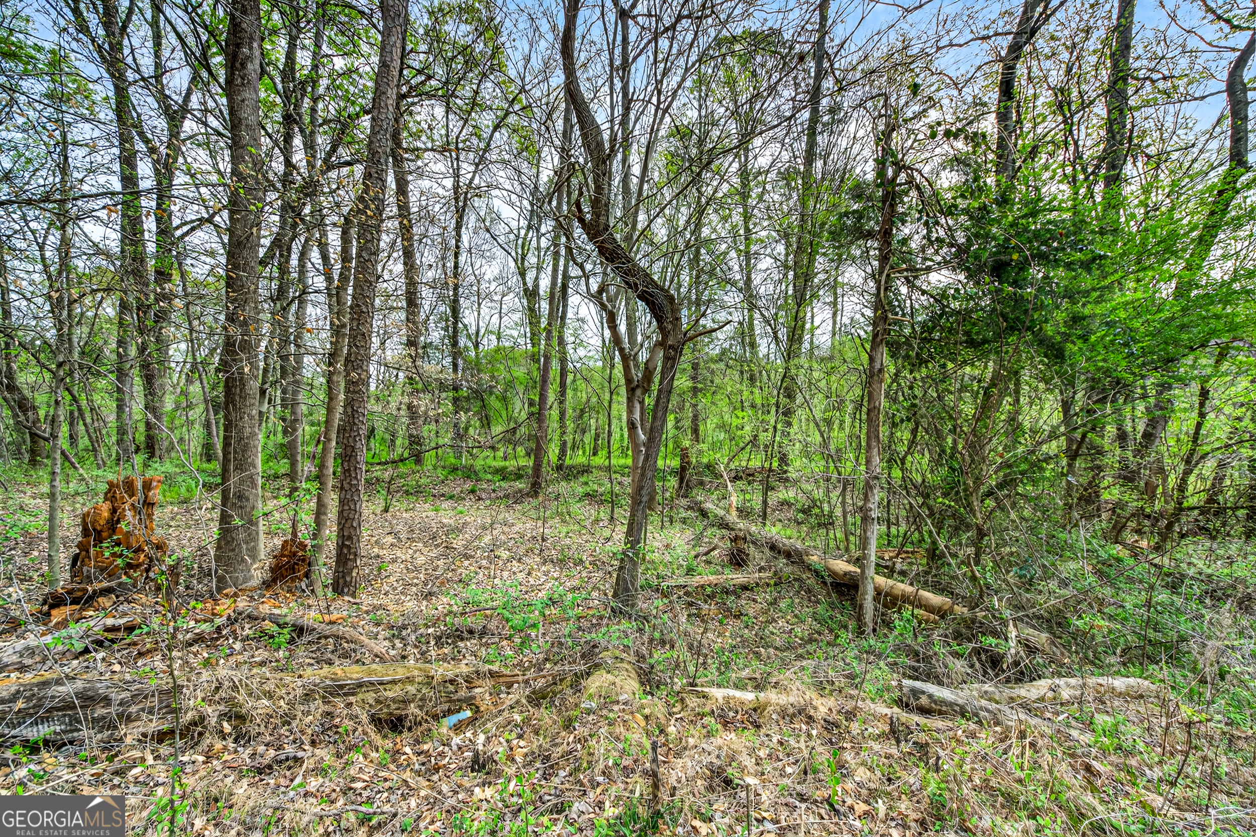 1071 Louden Ridge Road Alto, GA 30510 - Photo 66 of 81 a backyard of a house with lots of plants and large trees