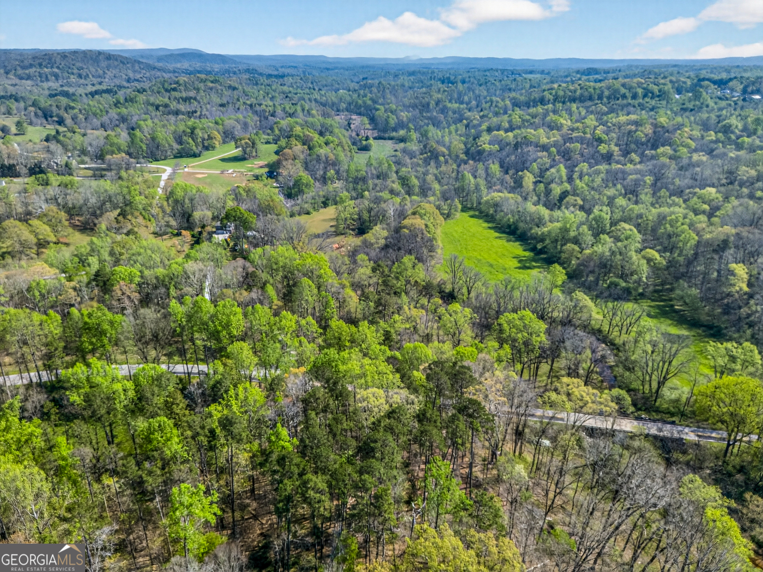 1071 Louden Ridge Road Alto, GA 30510 - Photo 67 of 81 a view of a green field with lots of bushes