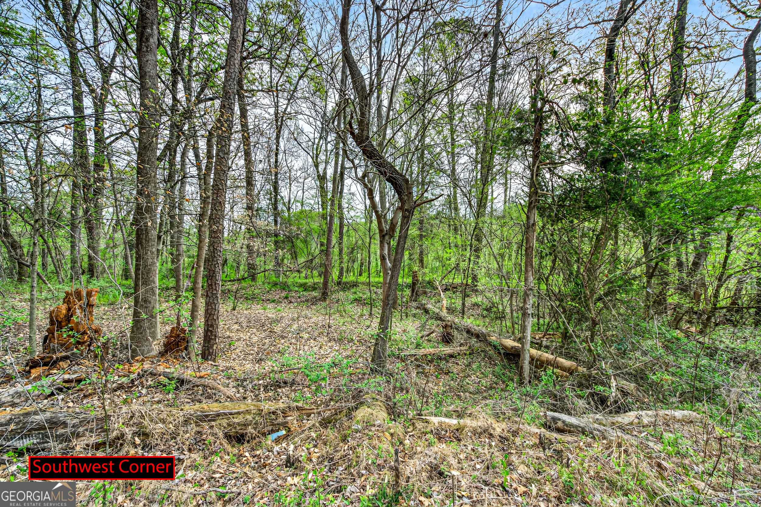 1071 Louden Ridge Road Alto, GA 30510 - Photo 70 of 81 a green field with lots of trees