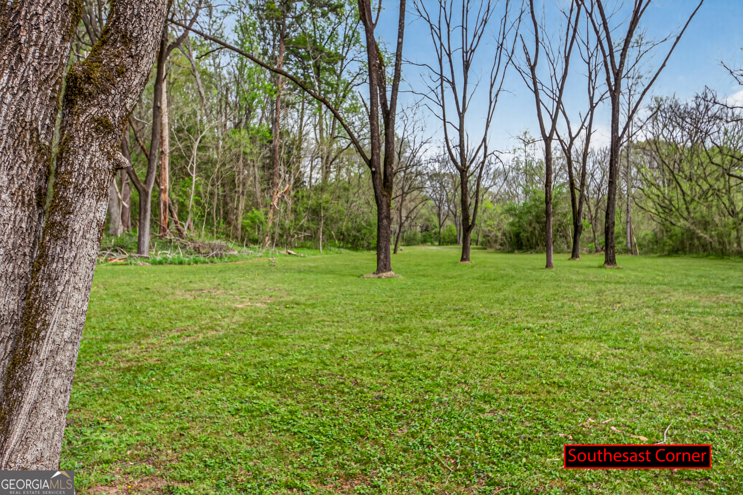 1071 Louden Ridge Road Alto, GA 30510 - Photo 71 of 81 a view of a trees with a big yard