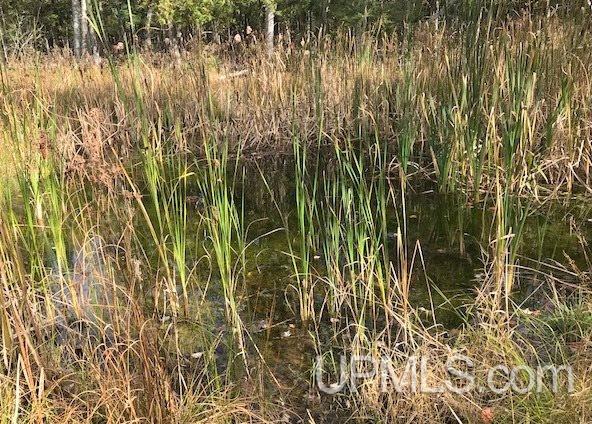 3196 West 31.5 Road Carney, MI 49812 - Photo 23 of 24