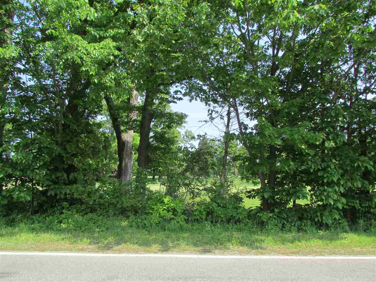 2 West Warren Woods Road Buchanan, MI 49107 - Photo 4 of 4