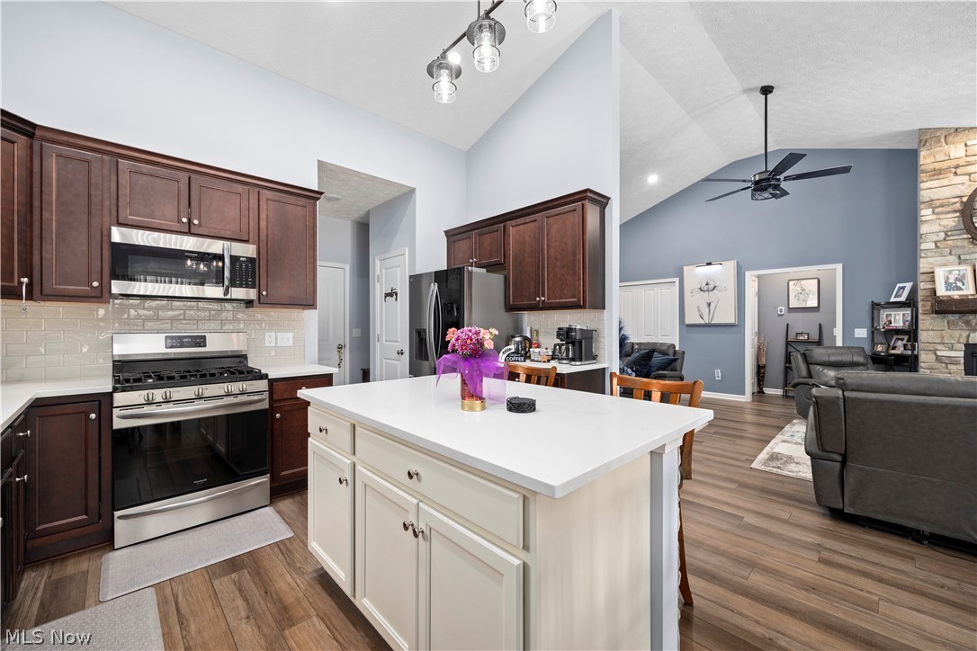 109 West Spring Drive Elyria, OH 44035 - Photo 18 of 46 Modern kitchen featuring a central island, stainless steel appliances, dark wood-finish cabinetry, and light-toned countertops