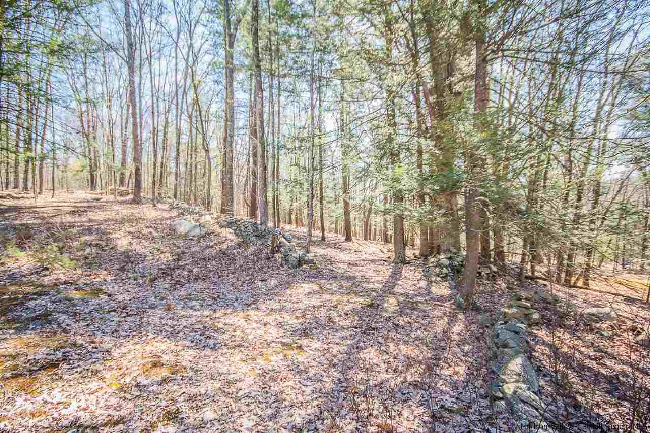 59 Markle Road Kerhonkson, NY 12446 - Photo 23 of 24 a view of a yard with large trees