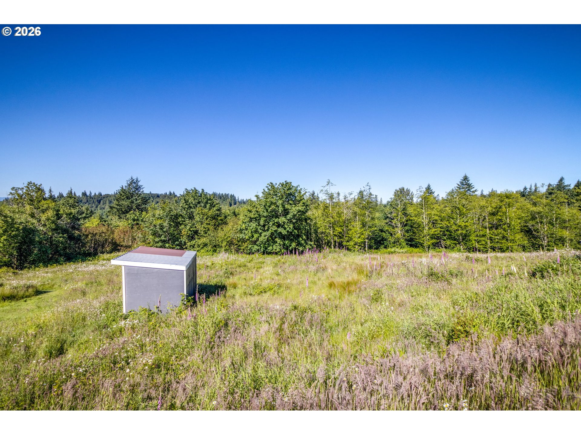 268 Walker Road Kelso, WA 98626 - Photo 8 of 14