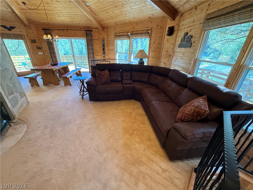 310 Echo Road Mount Charleston, NV 89124 - Photo 12 of 44