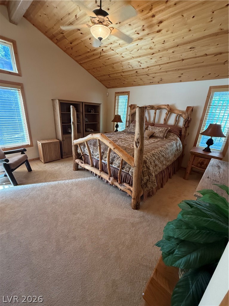 310 Echo Road Mount Charleston, NV 89124 - Photo 20 of 44