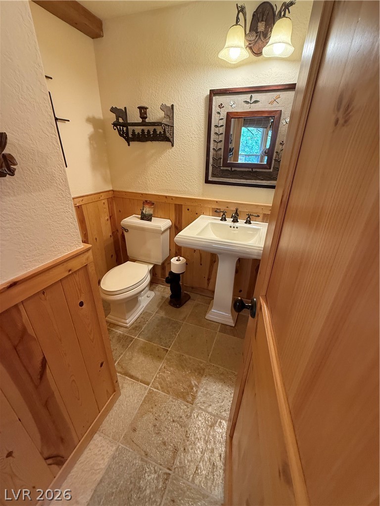 310 Echo Road Mount Charleston, NV 89124 - Photo 21 of 44