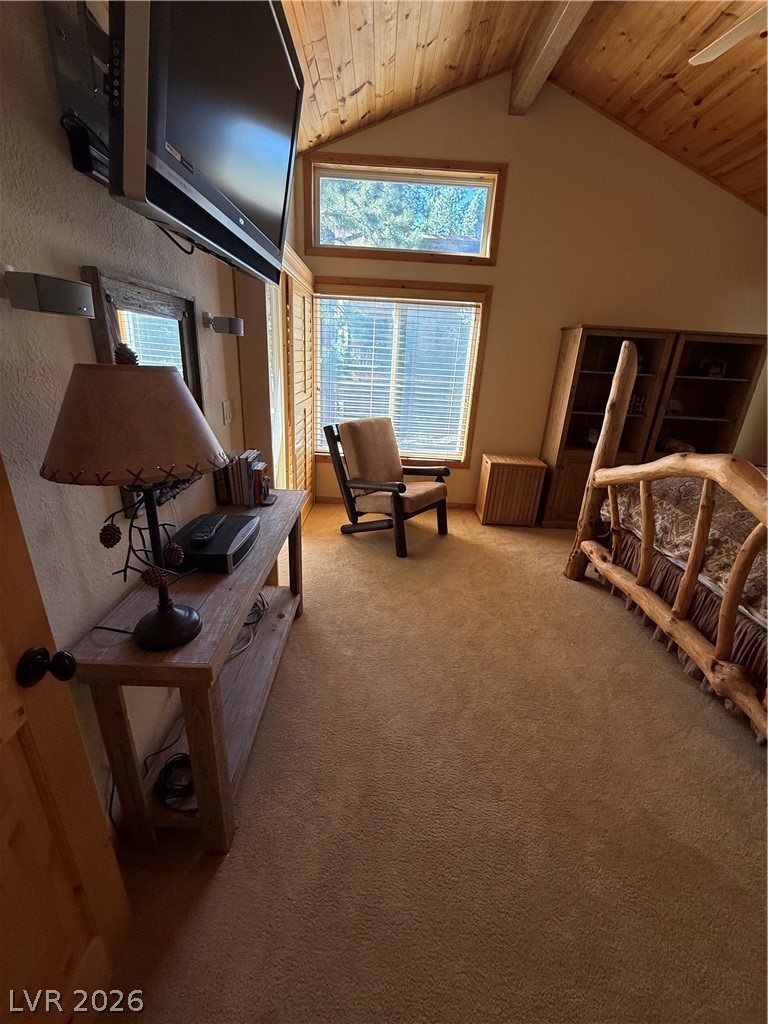 310 Echo Road Mount Charleston, NV 89124 - Photo 22 of 44