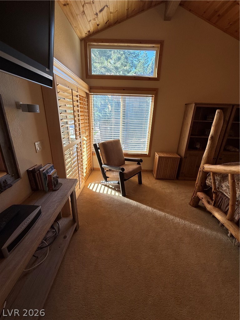 310 Echo Road Mount Charleston, NV 89124 - Photo 23 of 44