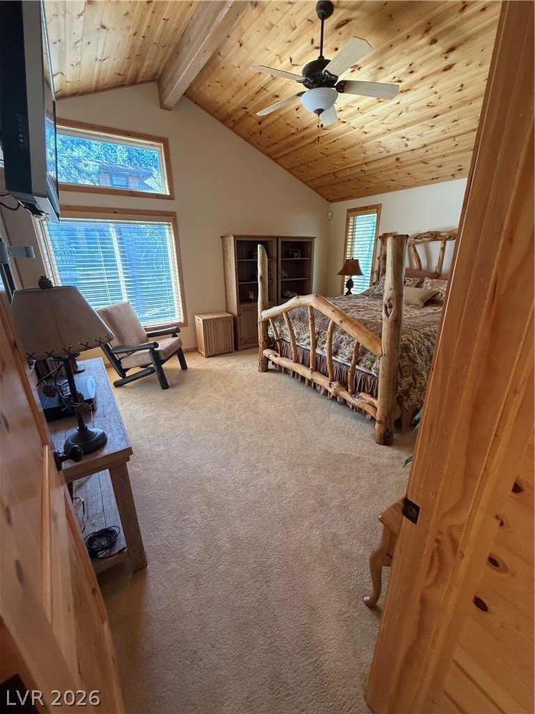 310 Echo Road Mount Charleston, NV 89124 - Photo 24 of 44