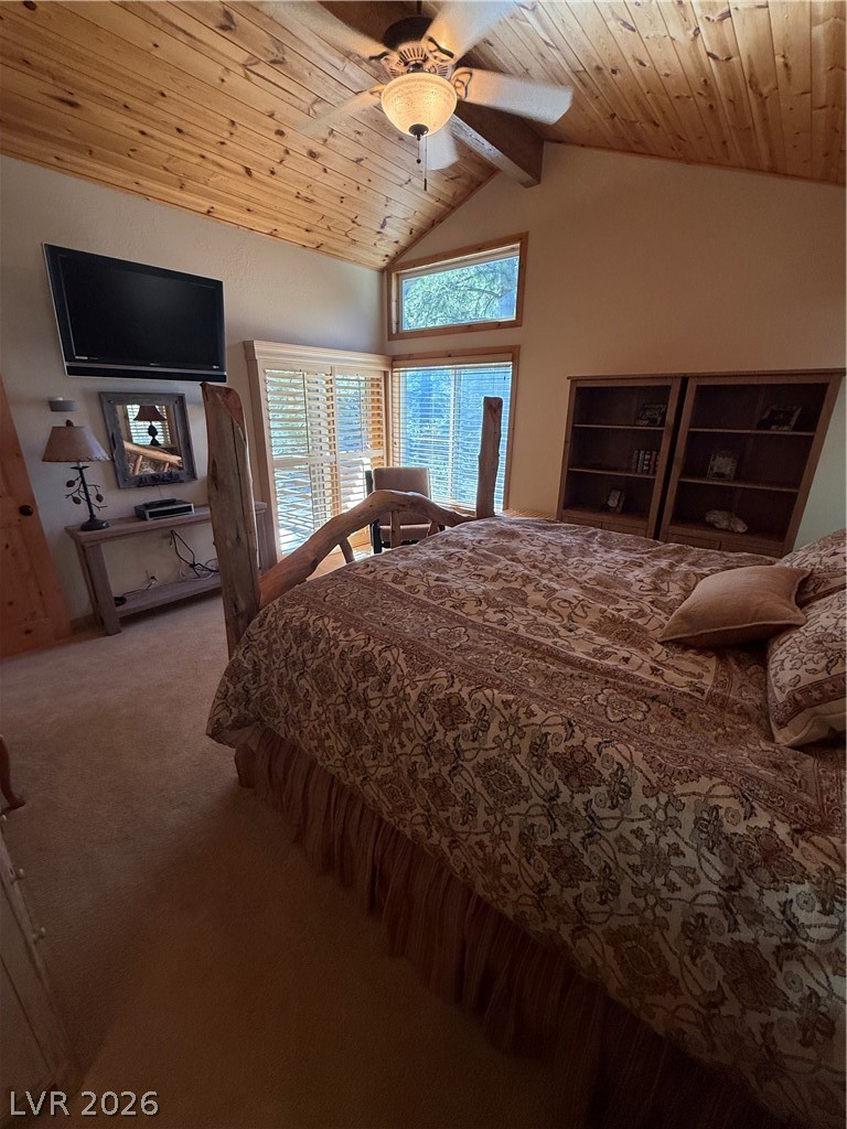 310 Echo Road Mount Charleston, NV 89124 - Photo 25 of 44