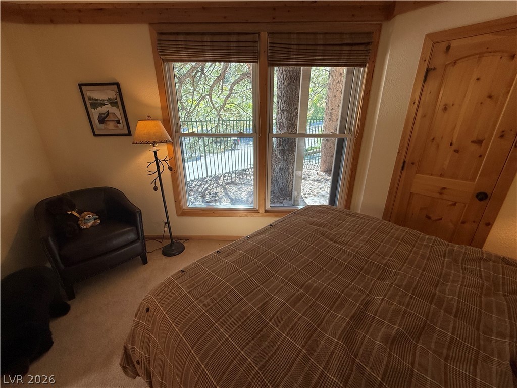 310 Echo Road Mount Charleston, NV 89124 - Photo 36 of 44