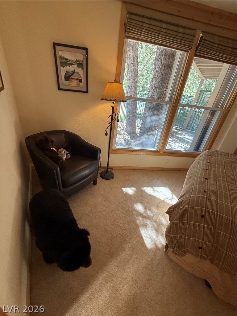 310 Echo Road Mount Charleston, NV 89124 - Photo 38 of 44