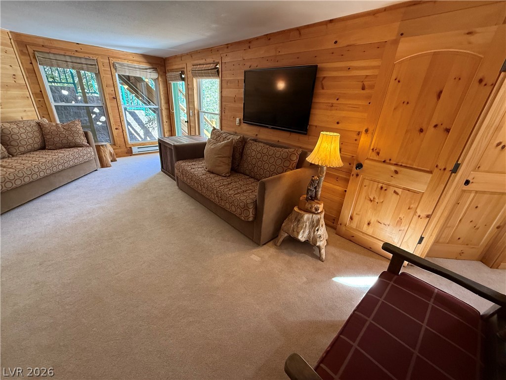 310 Echo Road Mount Charleston, NV 89124 - Photo 43 of 44