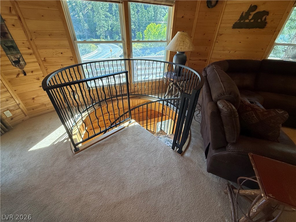 310 Echo Road Mount Charleston, NV 89124 - Photo 10 of 44