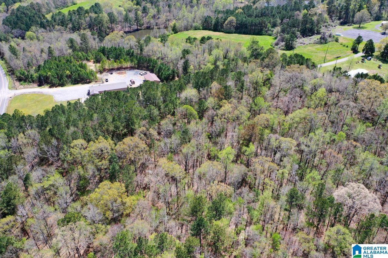 0 County Road 15 Locust Fork, AL 35097 - Photo 13 of 14