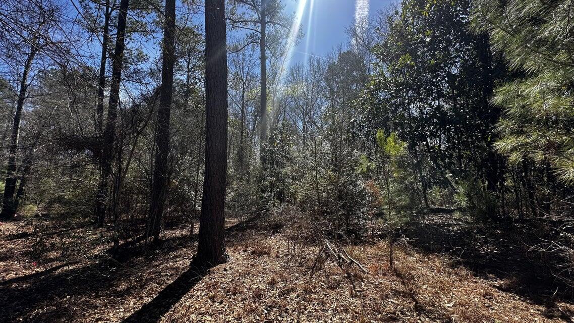 0 Davis Bridge Road Williston, SC 29853 - Photo 20 of 21