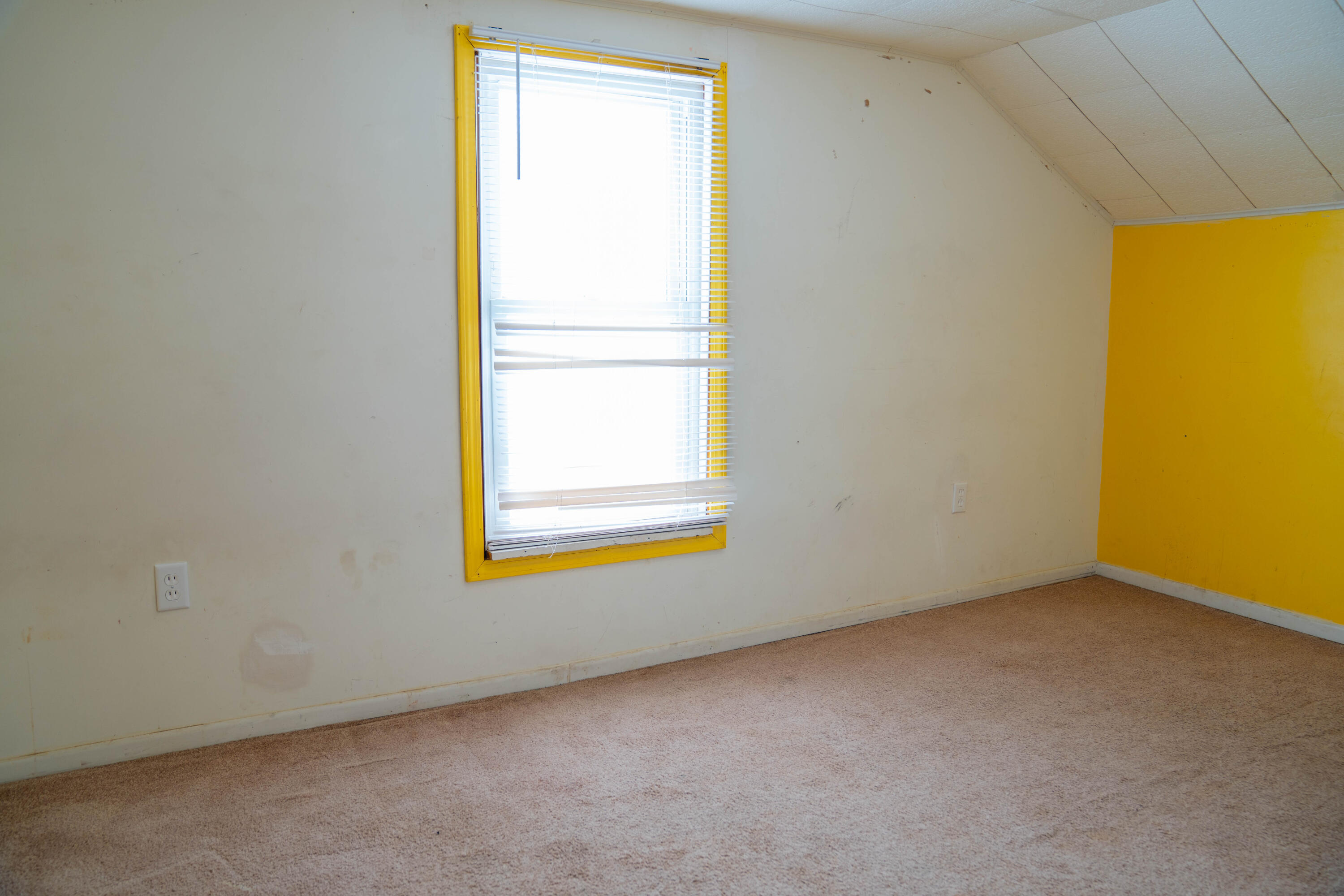 204 West Walnut Street Albion, MI 49224 - Photo 7 of 12 DSC03290