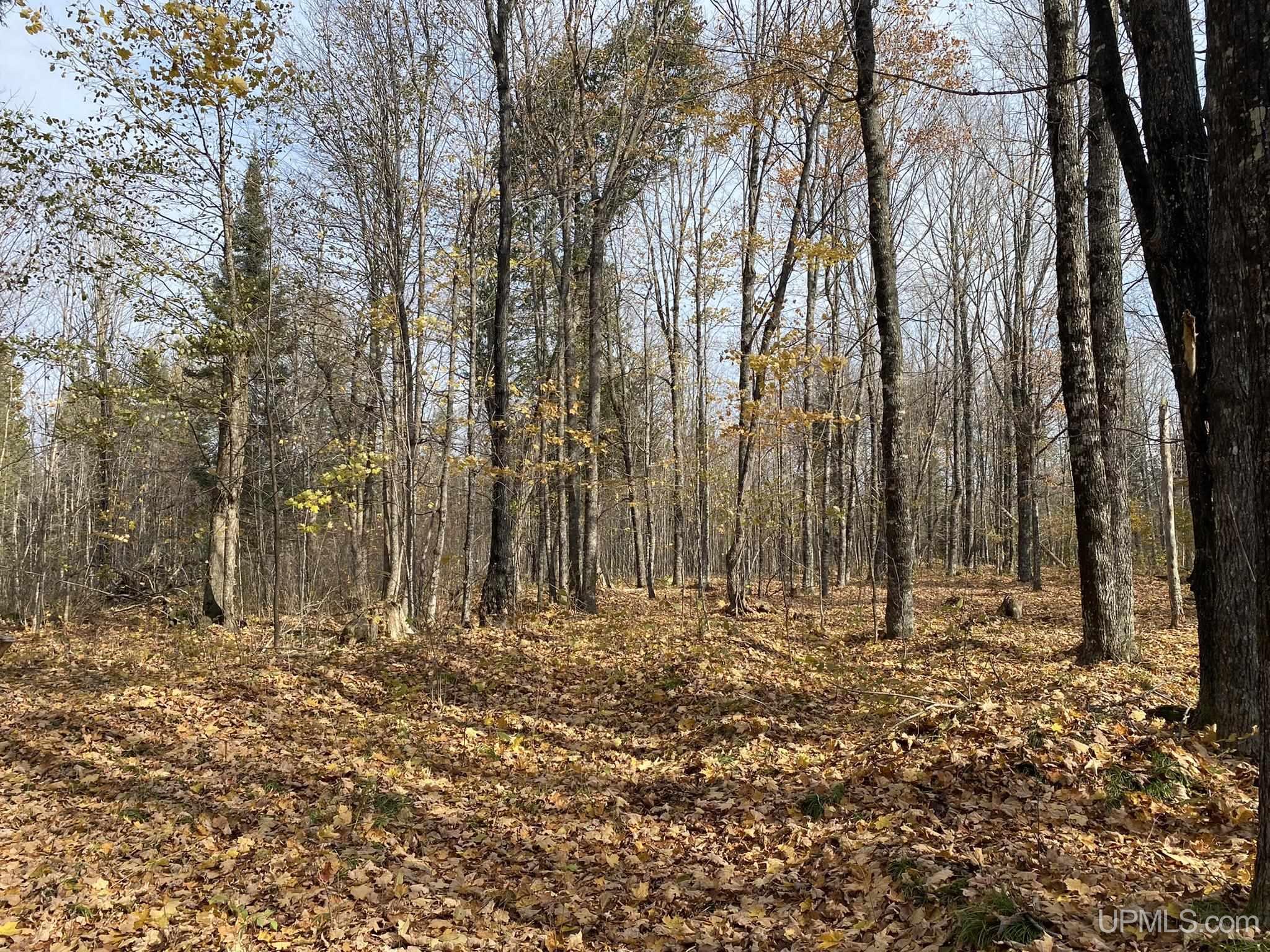 Tbd Tbd Off County Road Cornell, MI 49818 - Photo 8 of 21